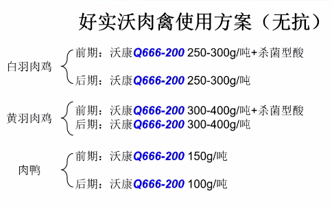 ＂7777788888精準(zhǔn)跑狗圖＂的：高效計劃實施_高清晰度版2.78