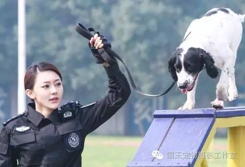 警花與警犬，鐵血柔情演繹真實(shí)警魂的演員們